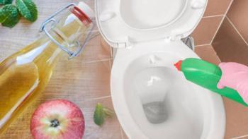 Klozet temizliğinde sirke mi çamaşır suyu mu? Meğer temizlemiyormuş