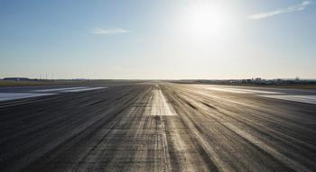 Japonya'da şaşkınlık yaratan olay! Piste ayı girdi, uçuşlar durdu