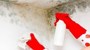 Rutubetin kökünü kurutan yöntemler! Çamaşır suyunu solda sıfır bırakıyor