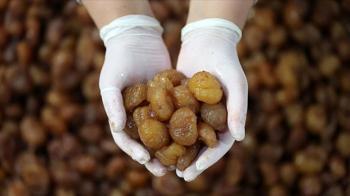 Bursa kestane şekeri AB'den coğrafi işaret tescili aldı