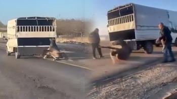 Vicdansızlığın böylesi! Kamyonetin arkasına bağladığı atı dakikalarca sürükledi