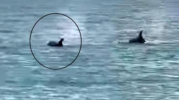 Yer: Saros Körfezi! Denizde gören telefona sarıldı