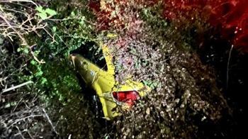 Seyir halindeki taksinin üzerine ağaç devrildi