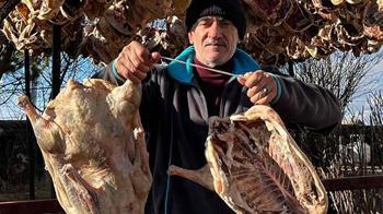 Sırrı gündüz güneşi, gece ayazı görmesi! Özel hazırlanıp, yurt dışına gönderiliyor