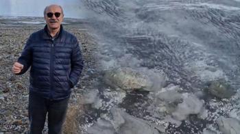 Salda Gölü için kritik uyarı! ‘Kuraklığı suçlamayı bırakın’