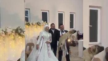 Sıra dışı düğün hediyesi! Gelen misafirler şaşkına döndü: Değeri 100 bin TL