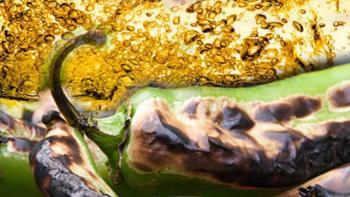 Her yere sıçrayan kızartma yağını tutuyor! Dışa çevirip yavaş bırakın