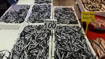 Trabzon'da hamsi ve istavrit 100 liradan satılıyor