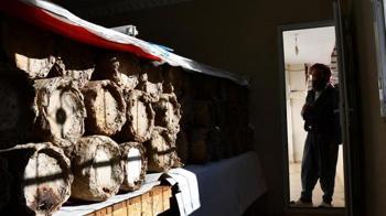 Dünyanın en pahalı ürünü evinin odasından çıkıyor! ‘Kilosunu 10 bin TL’den satıyoruz’