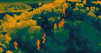 15 ilde göçmen kaçakçılığı operasyonu: 50 tutuklama