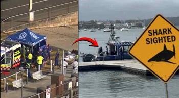 12 yaşındaki çocuğa köpekbalığı saldırdı, durumu kritik! Avustralya'da korkunç olay