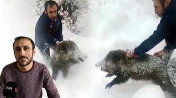 Yaban domuzunu eliyle yakalayan adama müjde!