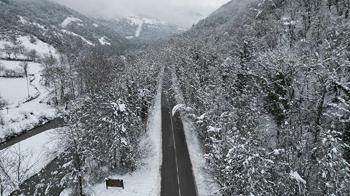 Fotoğraf tutkunlarını 9 kilometrelik rotası: Ağaç Tünel