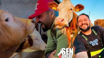 5 yıllık gelirini köyde 1,5 senede kazandı! Kurumsal hayatı bıraktı, en fazla 4 saat çalışıyor