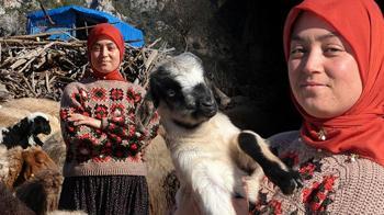 Hayvanları otlatırken üniversiteyi kazandı: Genimizde var