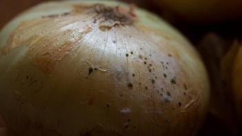 Çoğu kişi kabuğunu soyup geçiyor! Soğanların üstündeki siyah tozlar sandığınız gibi kir değil