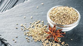 Toprağın hafızası kışın bedenle nasıl konuşur?