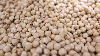 Türkiye fındık ihracatından 973 milyon dolar gelir sağladı