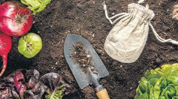 Beden ne yerse, cilt de onu konuşur