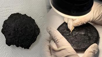 Bulunur bulunmaz Ankara'ya getirildi: Dünyada örneği yok