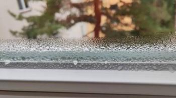 Kışın evin nemini şıp diye kesiyor: Pencere kenarına 1 kase koymanız yeterli