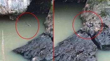 Yer: Elazığ! Kaplıcada fark etti, görür görmez telefona sarıldı