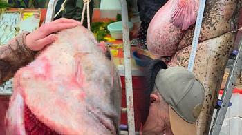 Sular çekilince ortaya çıktı: Bulgaristan'dan sürüklendi