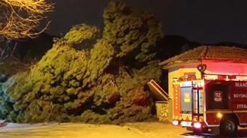 Meteoroloji uyarmıştı! Manisa’da kuvvetli fırtına hayatı olumsuz etkiledi