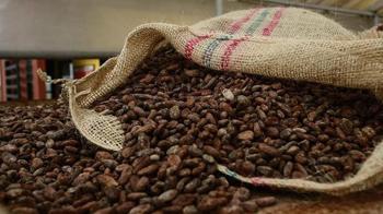 Türkiye yetiştirmediği kakaodan 1,7 milyar dolar kazandı