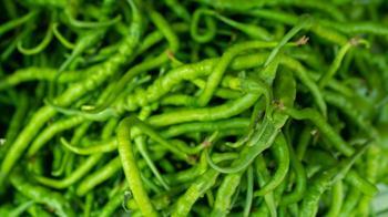 Pazarda yanılmaya son! Tatlı mı acı mı? Biberin sapına bakarak anlamanın yolu