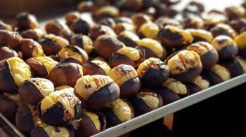 Sokak kestanesinin kokusu meğer buradan geliyormuş: Kimsenin bilmediği o gizli dokunuş!