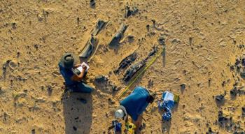 Kafasında 30 santimetrelik gizem! 100 yıl sonra bulunan tür heyecanlandırdı