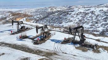 Güneydoğu'daki 4 il Türkiye'nin petrol üretiminin yüzde 28'ini karşılıyor