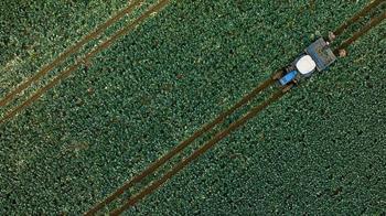 Son dönem yağışları tarımsal üretime olumlu yansıdı