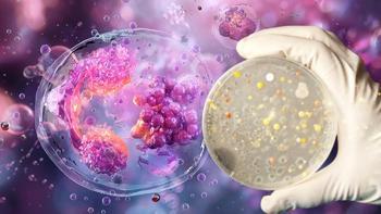 Otizmde bakteri düzeni hayat değiştiriyor! Bağırsaktaki kritik denge: 'Biyolojik gürültü azalıyor'