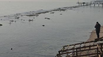 Tekirdağ'da sular çekildi, denizin dibinden çıktı!