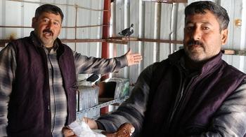 7 yaşında başladı, 45 yılda 200’e ulaştı! 'Ben onlarsız yaşayamam'