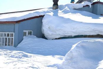 Ağrı'da pencerelere kadar kar! Bahar geldi ama kar gitmedi