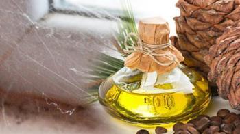 Temizlik suyuna katın! Örümcekler bir daha ağ öremiyor: Mobilyalarınızı silin