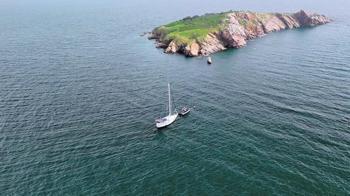 Bebek mercanlar Marmara’nın kalbinde atıyor