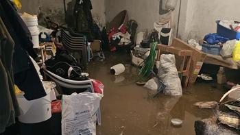 Mardin'de şiddetli yağış felakete yol açtı! Araçlar sürüklendi, hayvanlar telef oldu