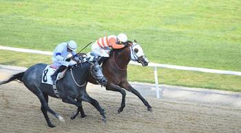 İzmir'de 64'üncü Hipodrom.com Ege Derbisi'nin kazananı The Protecter