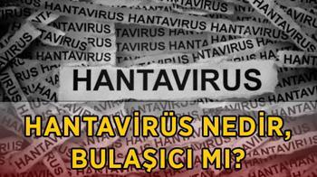 Hantavirüs belirtileri nelerdir, nasıl bulaşır, insandan insana geçer mi?