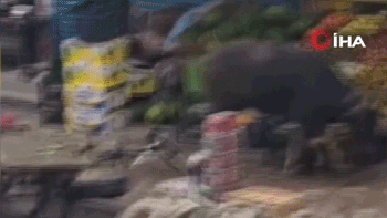Bir anda kontrolden çıktı! Yaşlı adamı yere savurdu...