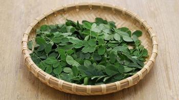 Moringa, suyun içindeki bütün mikroplastiği temizliyor!