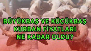 Kurbanlık fiyatları 2026: Bu yılki büyükbaş ve küçükbaş kurbanlık fiyatları ne kadar? Dana, koç, koyun canlı kilogram fiyatları