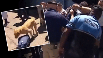Senegal ve Özbekistan milli takımlarına ABD'de şok! Polis köpekleri ile arama