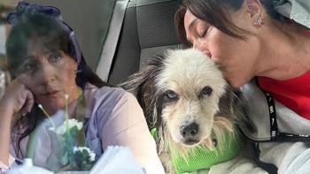 Binnur Kaya'yı yıkan ölüm! 18 yıllık patili dostunu kaybetti: Hoşça kal canımın parçası...