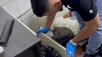 Ekmek fırınından çıkanlar şoke etti! Zehir tezgahına darbe