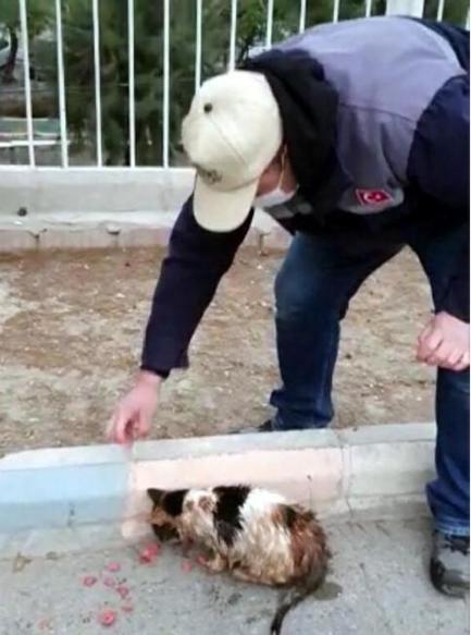 Yer altındaki boruya sıkışan kedi, termal kamerayla bulunup, kurtarıldı